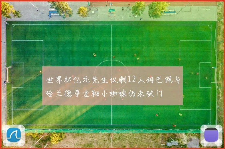 世界杯亿元先生仅剩12人姆巴佩与哈兰德争金靴小蜘蛛仍未破门